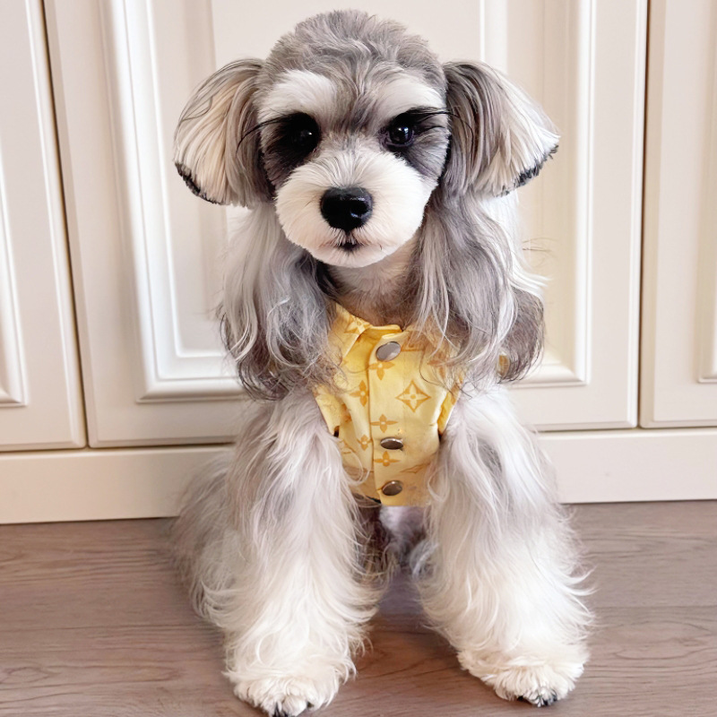 hmqViviiyNSAyin9WuaTt6nf3MrNX97dpU/5