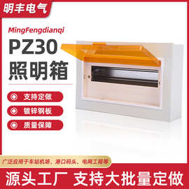 明暗装回路箱pz30配电箱塑料面板家用电闸电表箱多尺寸现货批发