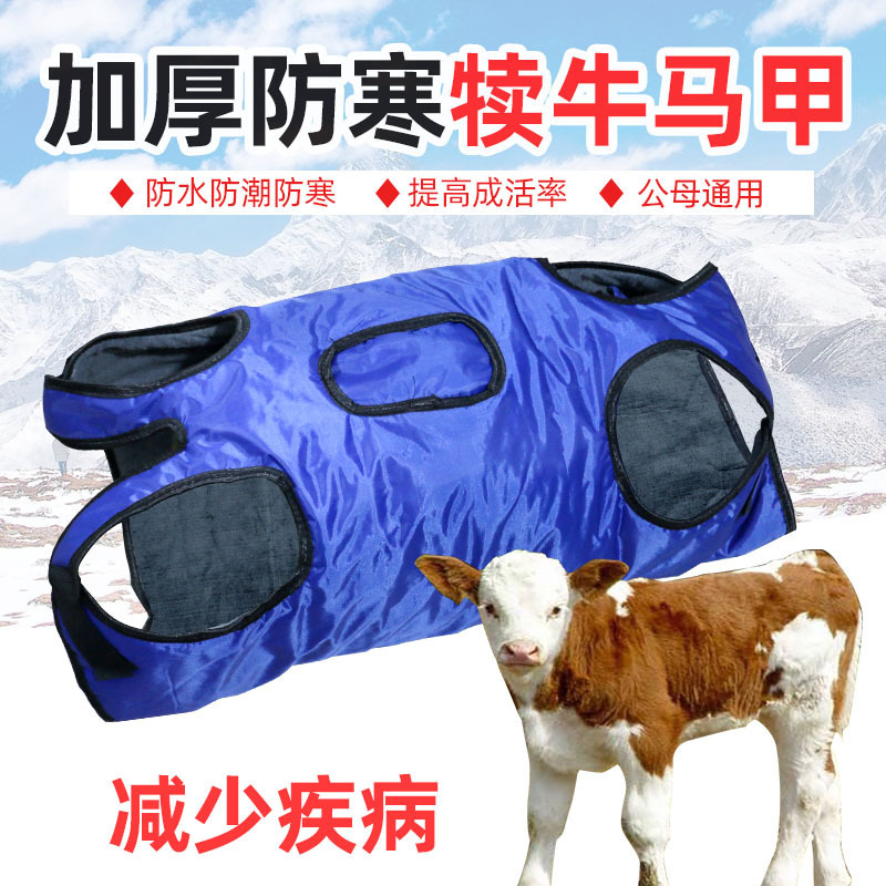 Calf vest thickened calf vest calf thickened cold-proof vest calf warm waterproof cotton-padded clothes calf clothes Calf vest thickened calf vest calf thickened cold-proof vest calf warm waterproof cotton-padded clothes calf clothes