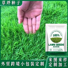 跨境外贸草坪草籽四季常青耐寒耐旱护坡庭院用草种子小包装批发