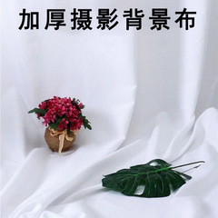 白い光を吸収して厚い背景布を撮影します。