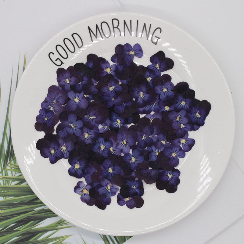 O1CN01ji5nc32ISa0rp1sMz_!!2201