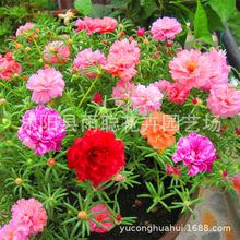 ���羳��؛�����N�ӝM���ǲ�˹��̫ꖻ���ݮ���տ��ļ��������^��
