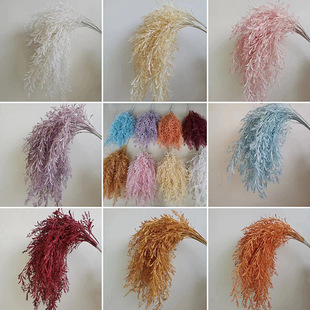 �¿��㙉ɫ��c��픷��滨 �������� ��ɫ��Y�bٻ��S�����l