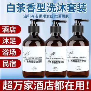 500ml White Tea Shampoo Shower Gel Hotel Bed and Breakfast Apartment Hotel Club Home Travel Pack Wholesale