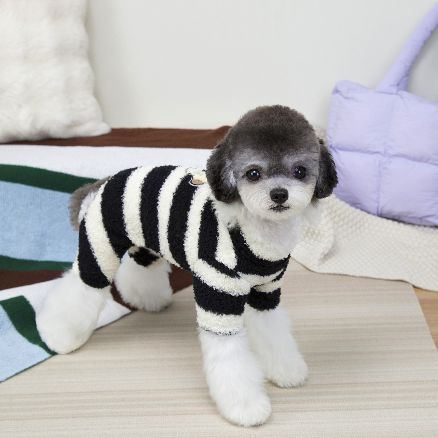 Ropa de mascotas, ropa de perro pequeño, ropa de gato, nueva fábrica de otoño y invierno al por mayor, 25 rayas de cuatro piernas de terciopelo