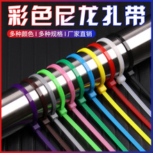 �¹����� ������ɫ����3*4*5*8�t�S�{�Gɫ���������������������l