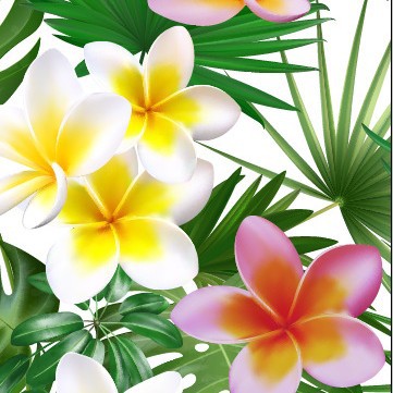 Algodón impreso Toalla de baño algodón hombres y mujeres hogar absorbente de secado rápido playa regalo Toalla de playa fábrica al por mayor