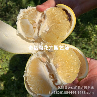 ����̨������������ �t��ʯ���֘��� �t�������� �����箔����