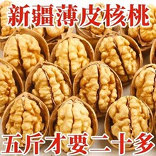 2025年新货,新疆薄皮核桃好核桃多规格干果坚果新货新鲜零食批发