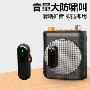 Distribution Lavalier Microphone Amplifier Live Streaming Shooting Portable Charging Case Wireless Microphone Little Bee Microphone