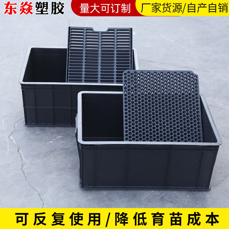 Black Seedling Box Basket Hole Plate Hydroponic Peanut Sprout Seedling Plate Bean Sprout Box Plastic Peanut Sprout Planting Plate Dislocated Basket