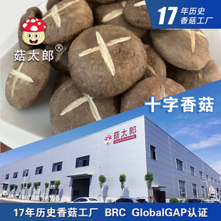 �㹽��؛�㹽�ɶ�����ʮ���㹽��׵�׶����������ڻ��؂䰸