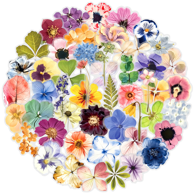 50 Transparent Watercolor Large Flower Embossed Material Stickers for Journals, Water Bottles, Tablets, and Document Decoration Pet Stickers