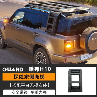 Great Wall H10 roof: Roof rack - explorers-ladder