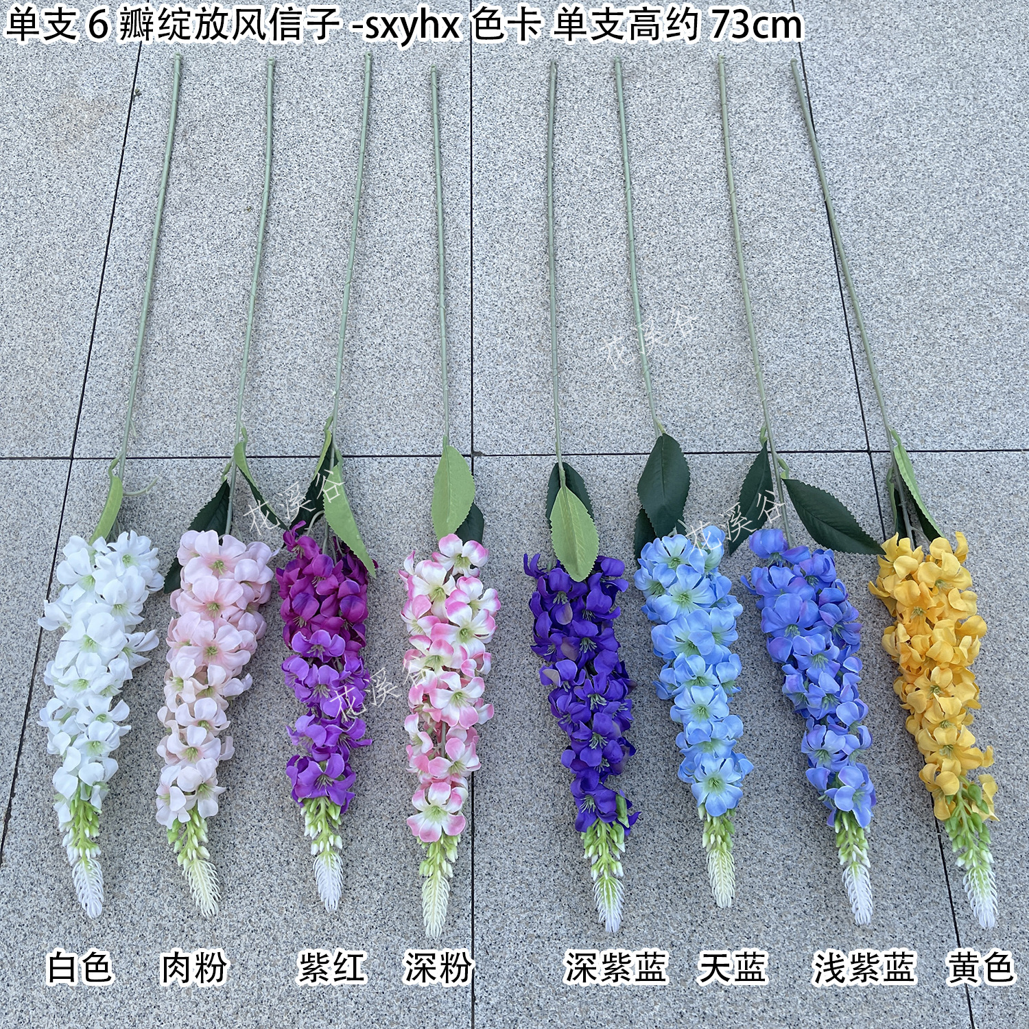 单支6瓣绽放风信子-sxyhx 色卡 花溪谷.jpg