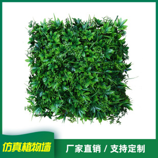 �帣�R�T����50*50�G����ƺֲ��Gֲ�����b��栝�߷���
