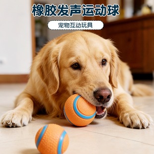 ��������Ώ������˽␞�W��ĥ��ӖȮ���ӌ�����Ʒ���������S��