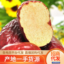 ������񗗴������l���l500g �½����E����ʳ�Ҝ��������t��