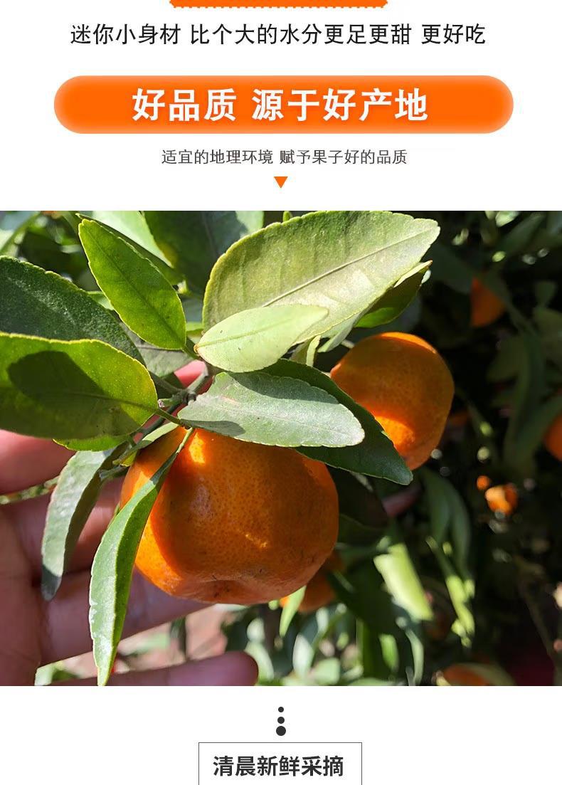 微信图片_20220913091507