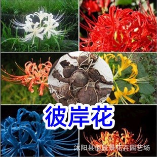 �˰����N�����lʯ������ɳ�A�ͺ��ͺ��҃��⹫�@�G���������