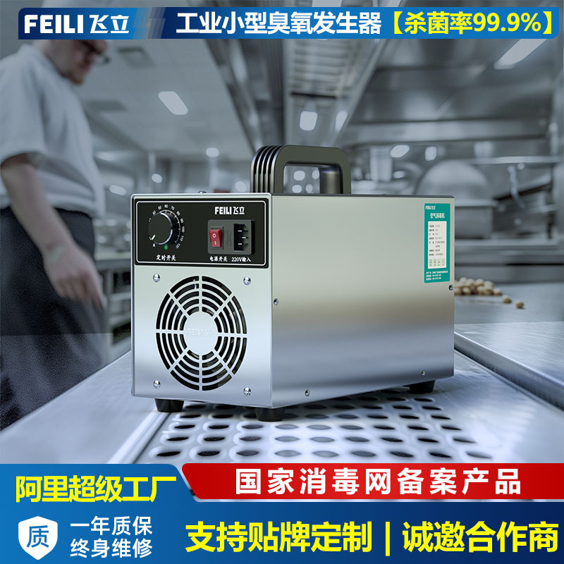 Feili 공기 소독기 가구 장식 공기 알데히드 제거 공간 소독 탈취제 작은 오존 공기 소독기