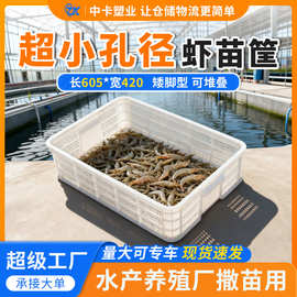 中卡虾苗筐龙虾塑料筐养殖运输小孔筐海鲜扇贝沥水筐密眼周转筐