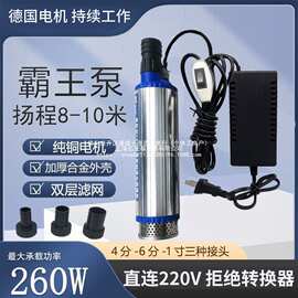 食品级抽酒泵不锈钢抽酒专用泵新款电动抽酒神器220家用12v抽水泵