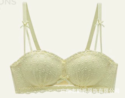 Ropa interior japonesa con top de tubo sin anillo de acero, encaje recogido, modelos delgados de niña, dos tipos de sujetadores franceses, senos pequeños, grandes