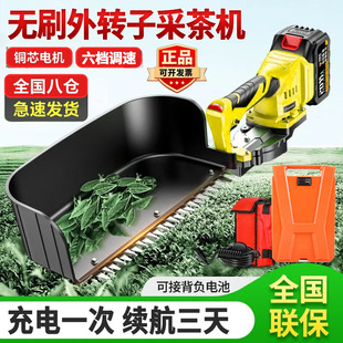 ��������l���늲ɲ�C�¿�oˢ�ɲ��~С���޼��C�G�h�C�ɲ�����