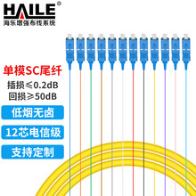 HAILE海乐 SC电信级单模12芯束装束状尾纤 法兰盘 ODF配线架专用