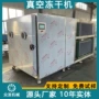 干燥冻干冷冻真空干燥机