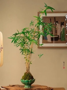 ̦�\�^�����辰�t�\�������ֲ̨���҃�ͥԺ�͏d���ӹ��L���L̨��