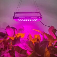 跨境爆品USB全光谱植物生长灯阳台蔬菜水果多肉促进植物生长补光