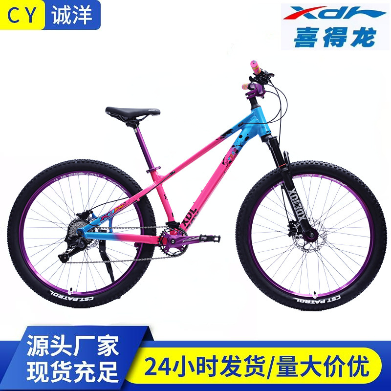 Xidelong Aluminum Alloy Mountain Bike with Suspension and Gear Shift 26inch Oil Disc Brake Downhill Off-Road Adult Dirt Bike