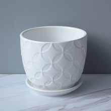 մɻ莧бPֲ̖ﻨGֲԻ̨҃G}