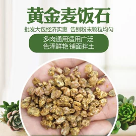 栽培基质;猫砂;烧烤炭