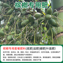 槟榔专用肥有机复合肥底肥追肥缓释肥微量元素果树苗颗粒叶面肥