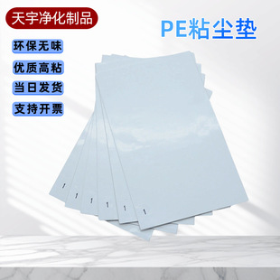 ����T�ڌ����Ь��մ�m�N�؉|��˺���o�ճ�m�|PEճ�m�|