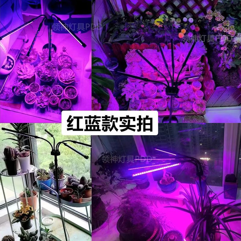 太阳光定时植物补光灯多头全光谱绿植蔬果花卉多肉灯夹子式落地式|undefined