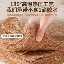 ?|ȻҬؼӲ15ooؙͯ|10cmóⷿz|