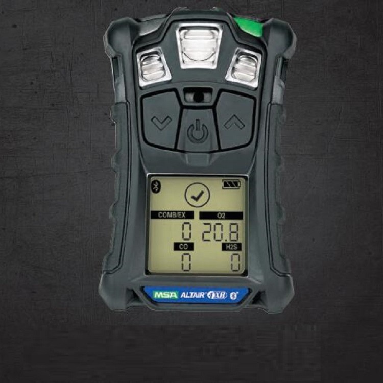 ZZ供便携式气体检/测仪 型号: XN5-4XR库号：M286611