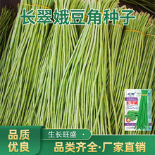 LǷNѴȫļ߮aNݱܿoƷN