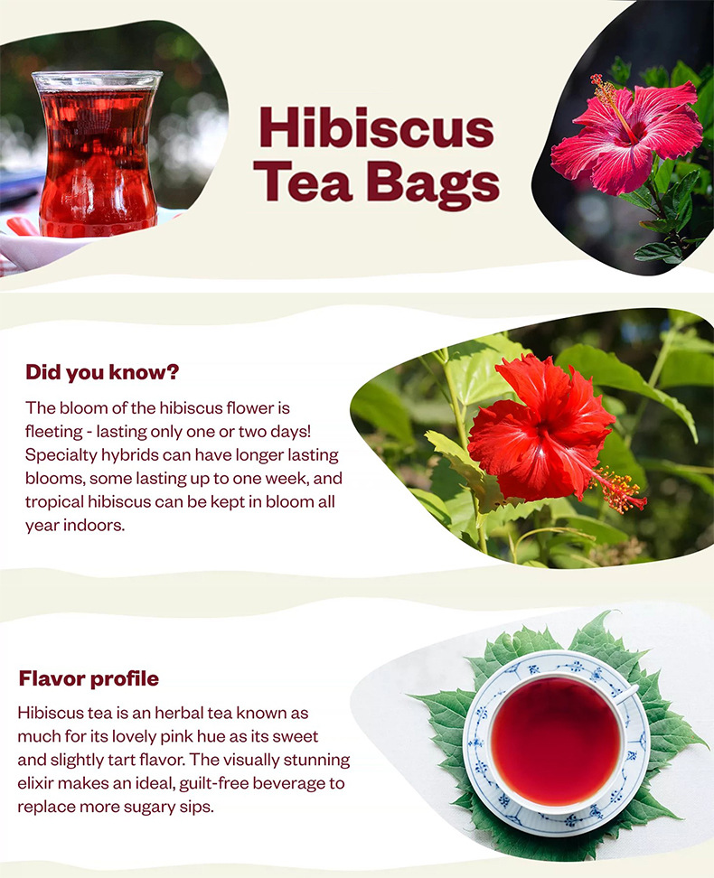 Hibiscus Tea Bags Luo Shen Hua 洛神花 2g x 100 Bags Sugar Free Herbal Flower Tea for Hot Brewing specifications