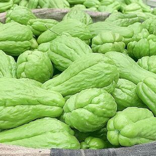 ������������l5�����߲˽���S�ոC�Ϸ��ֹ����r���]���l�z��