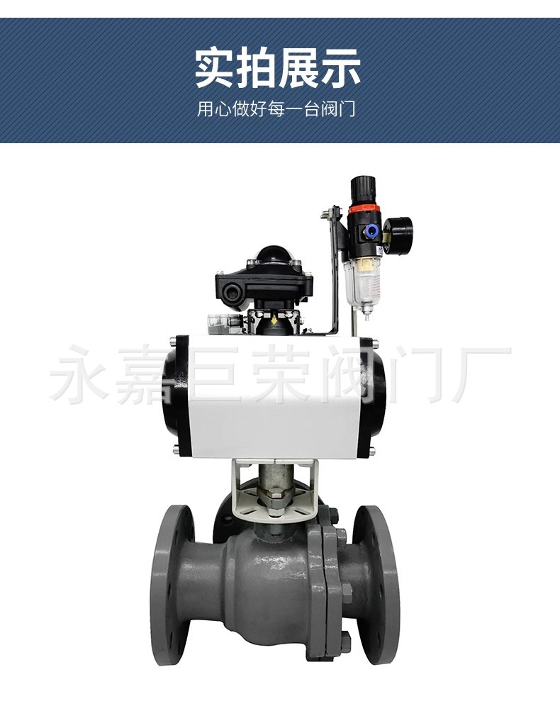 O1CN01IDqcfS1Cv4pF0MmkP_!!2206