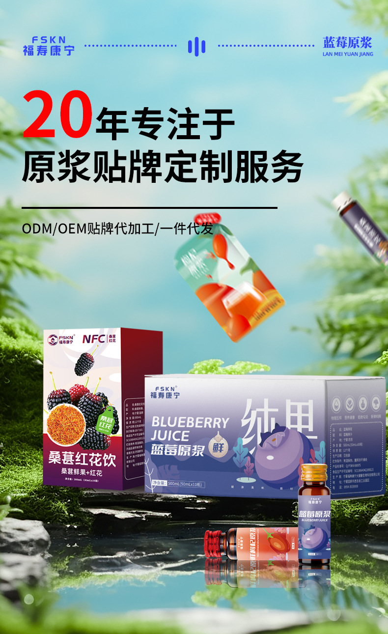 Blueberry Puree Juice Concentrate 50ml Bottle 100% Fresh Fruit Extract Herbal Drink overview