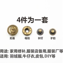 F؛͹831ĺϿ15MM~qoţзl