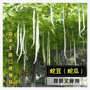 �߹ϷN�ѷN�����ļ��L�߲����ش��L���ͽz�����L�Ϸ��߶�������