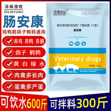 禽用肠道肠安康正品鸡鸭鹅鸽鹌鹑猪牛羊畜禽通用混合型饲料添加剂